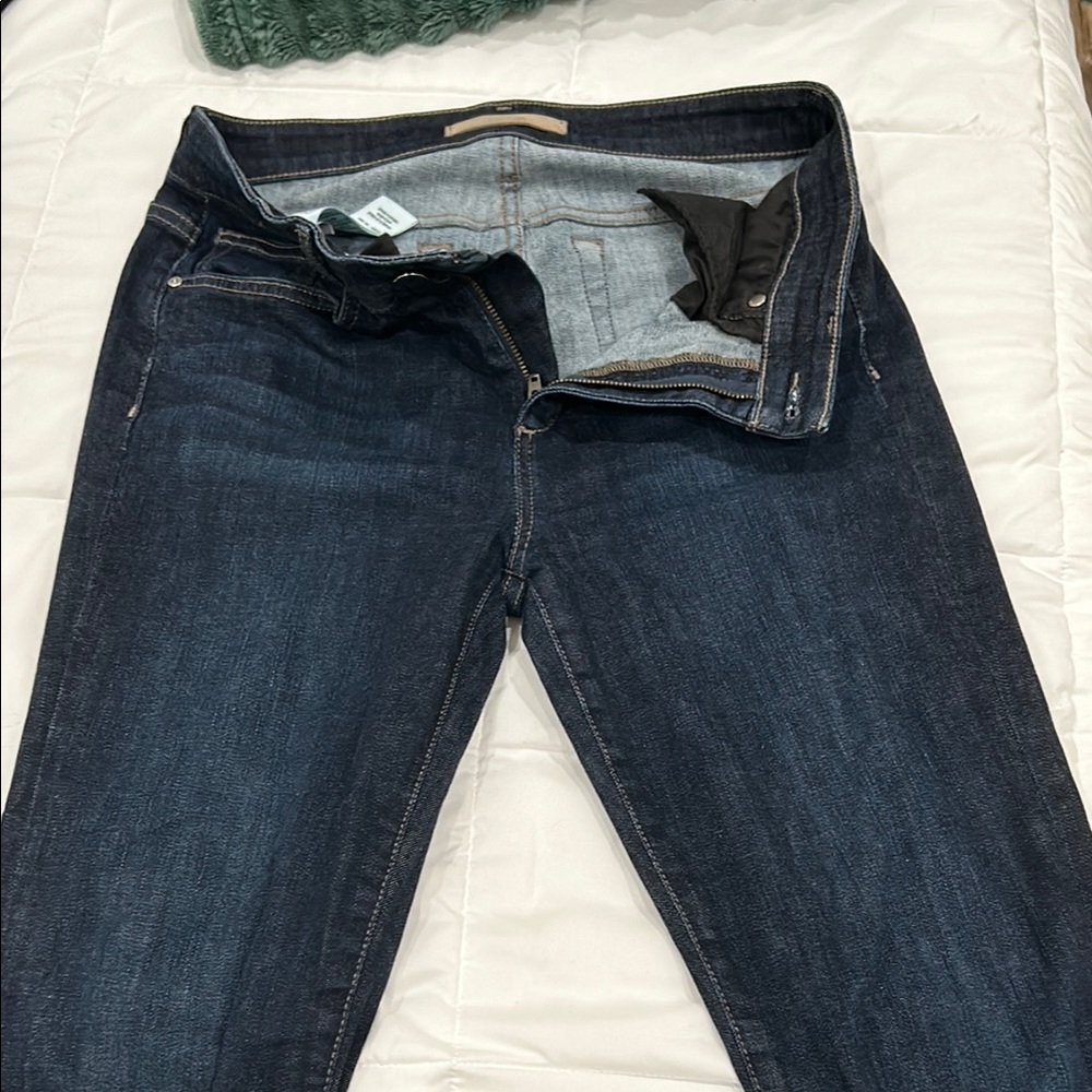 Joe's Jeans Blue Skinny Denim